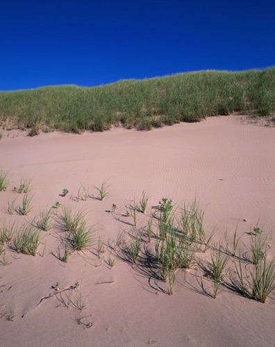 Dune 2, Prince Edward Island, Canadian Maritimes (MF).jpg